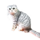 Little mapraw