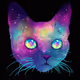 Holograph Cat