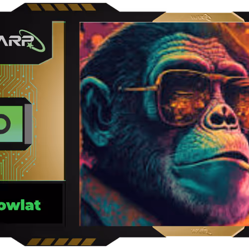 Warp Multipass - dowlat
