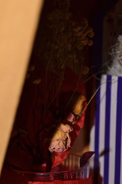 Item #80879840001451919384001045261058892020911433267621717443310830747649 Media