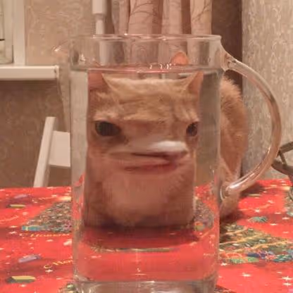 CUPCOLLECTION