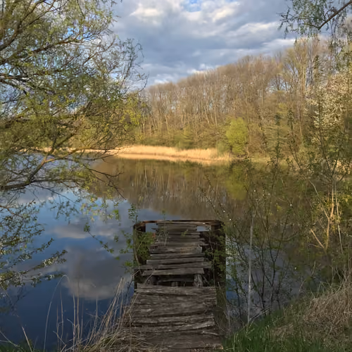 The lake