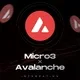 Micro3 x Avalanche
