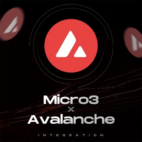 Micro3 x Avalanche