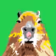 107839786668602559178668060348078522694548577690162289924414440996865