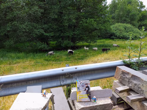 Item #37000000000000000000 Media