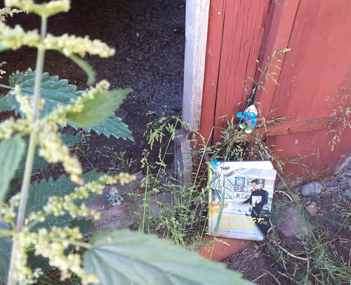 Item #40000000000000000011 Media