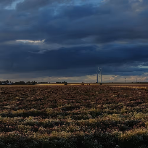 15000000000000000000