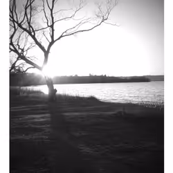 79000000000000000001