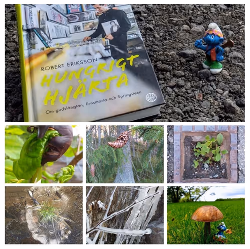 Item #47000000000000000006 Media