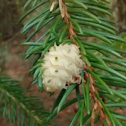 28000000000000000002