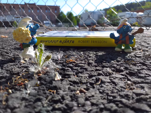 Item #48000000000000000023 Media