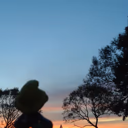 21000000000000000002