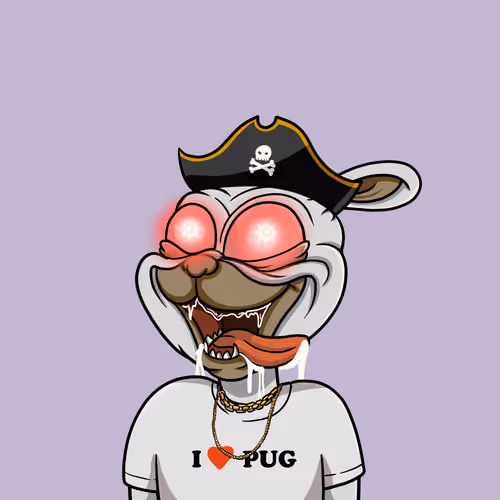 Pug #33