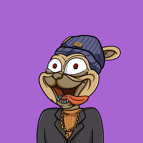 Pug #211