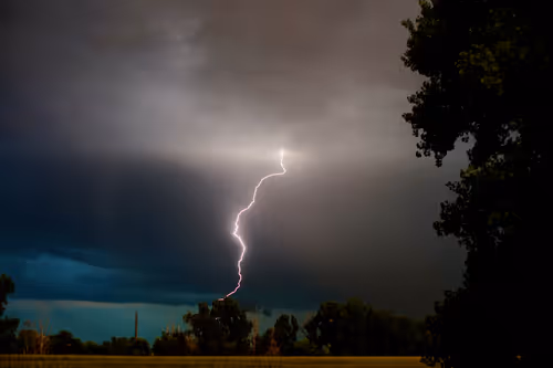 Item #1000000000000000005 Media