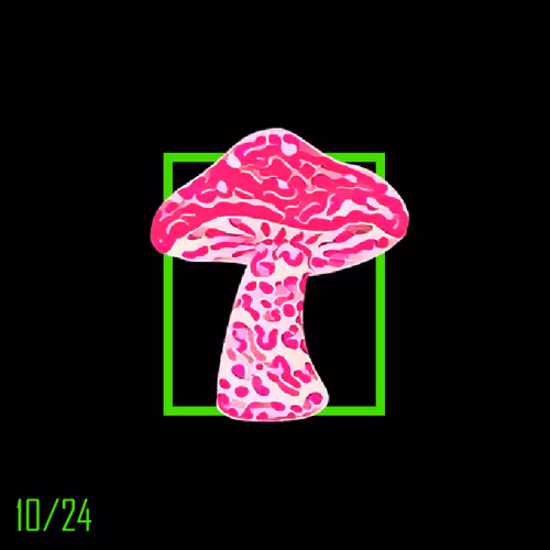 Item #33 Media