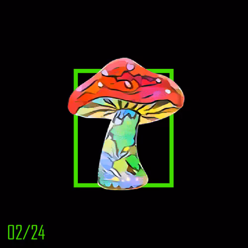 Item #25 Media