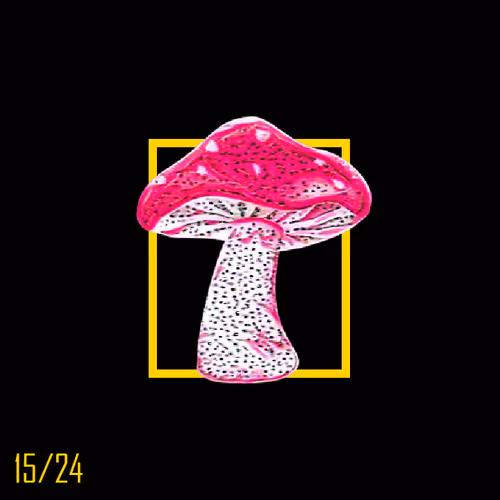 Item #38 Media