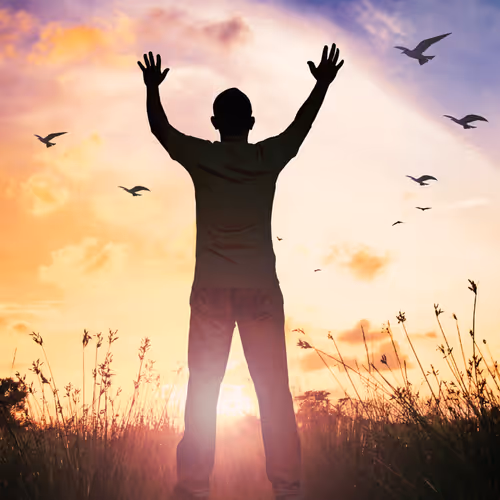 Freeeman collection V2