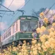 Trains in Japan