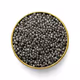 CAVIAR DAO COLLECTION