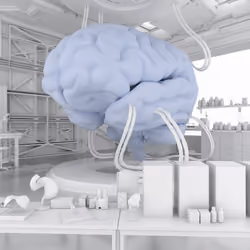 BRAIN #3346