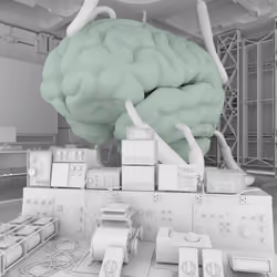 BRAIN #3044