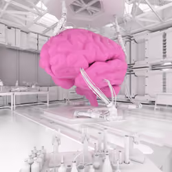 BRAIN #1739