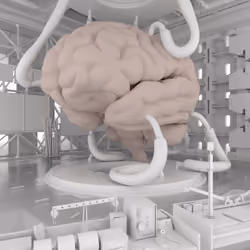 BRAIN #229