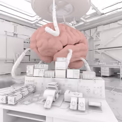 BRAIN #3799