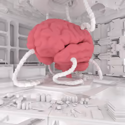 BRAIN #358
