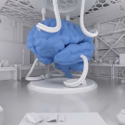 BRAIN #3045