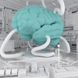 BRAIN #80