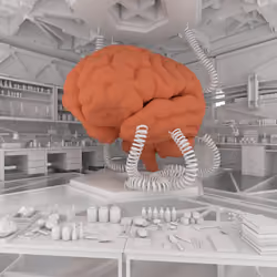 BRAIN #479