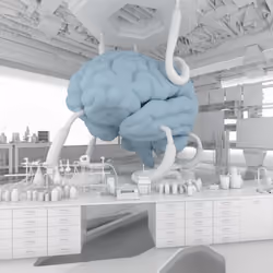 BRAIN #3046