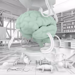 BRAIN #345