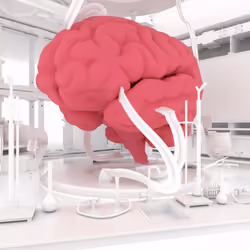 BRAIN #3043
