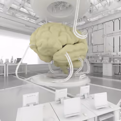 BRAIN #5191