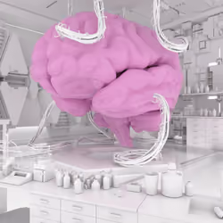 BRAIN #3663