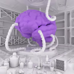 BRAIN #5038