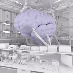 BRAIN #3979