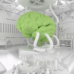 BRAIN #361