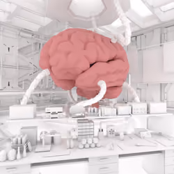 BRAIN #4507