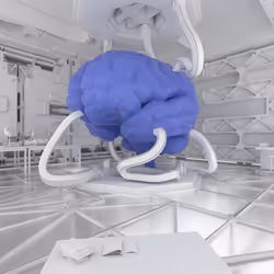 BRAIN #4896