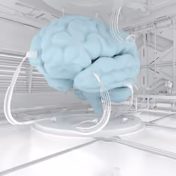 BRAIN #217
