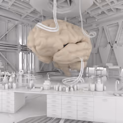 BRAIN #2488