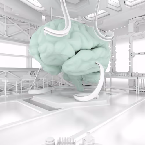 BRAIN #7