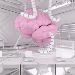 BRAIN #1741