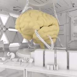 BRAIN #2484